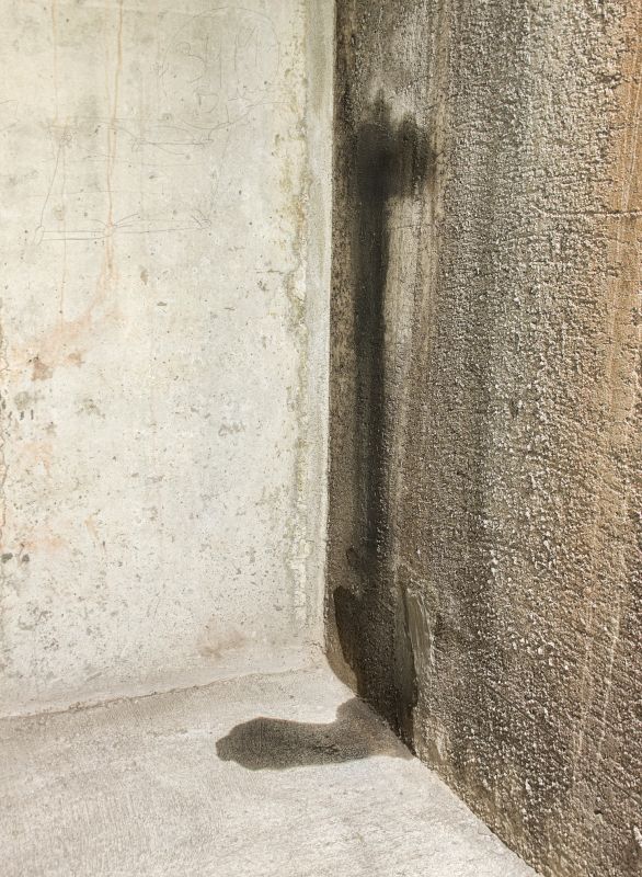 Foundation Leak Repair in Greenville, SC